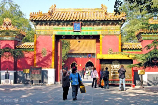 Lama-Temple_01-01